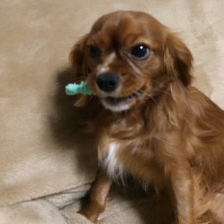 078cf3d5 116d 4bf4 98c7 80b1a85abcd8 1514939708372