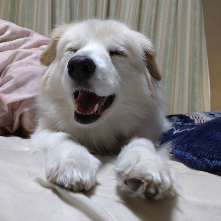 078cf536 8392 4e5d 966f 82b9e784ca23 1645007007368