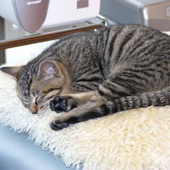 078cf8d0 28c0 4de4 98f3 ec412d16c93c 1666842410342