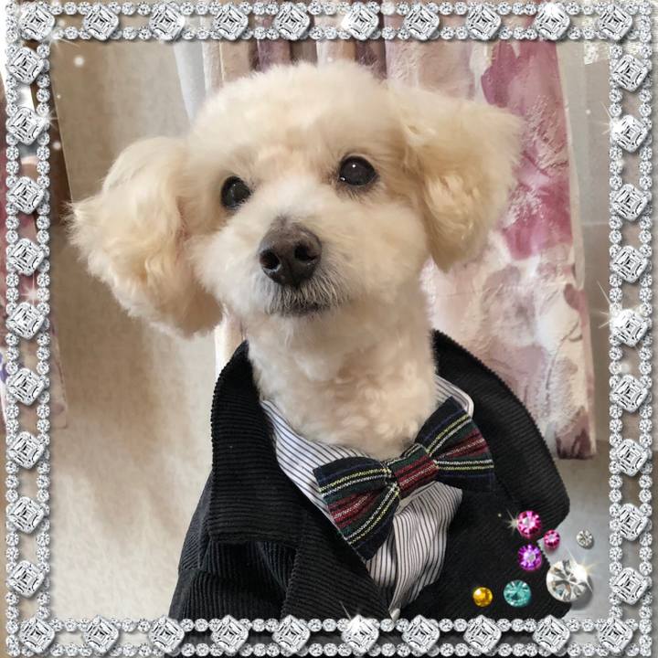 078d034b b189 4464 89c5 100940a8bba0 1552573616761