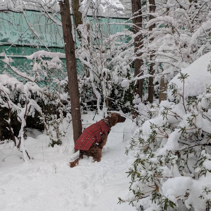 078d10b6 8b9c 4fc4 b5f8 3c10331de816 1765683101846