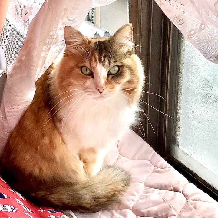 078d28c9 c7fa 4fdf a399 02aef696bfa3 1581307045455