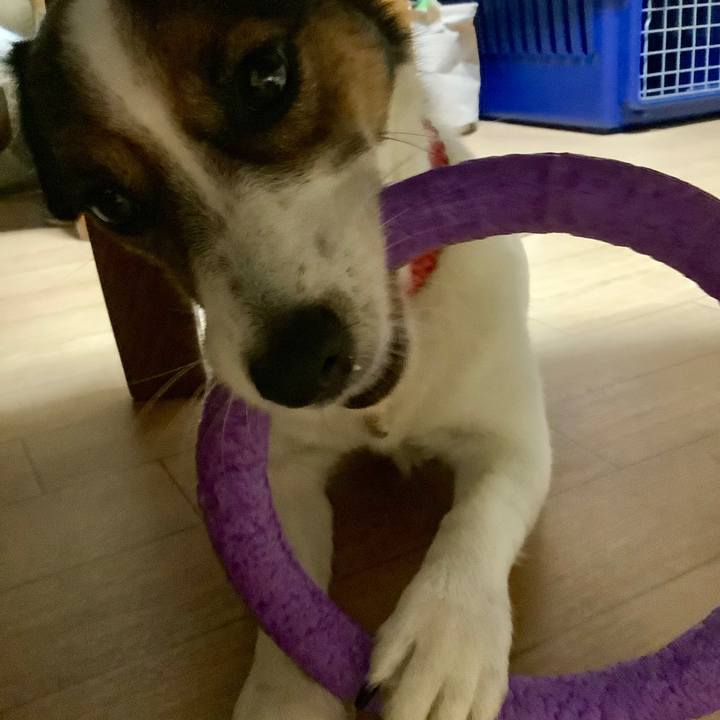 078d31c4 af4e 4bc9 8a6c eeb2b7f789ab 1565003820345