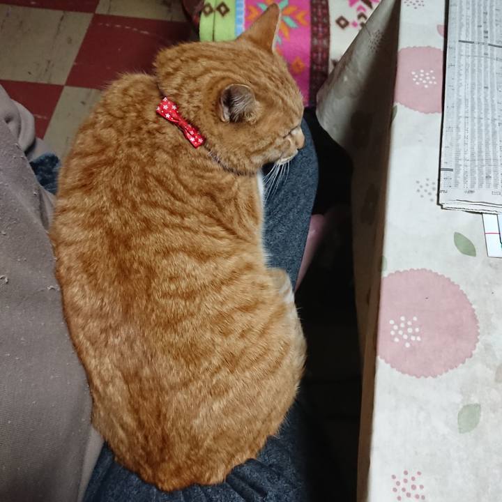 078d6556 6636 4275 bab0 ca08b14793f7 1577741839385