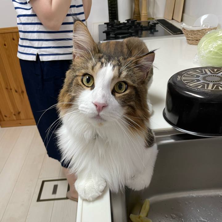 078d67e4 bded 4190 8b4d 4cd8ee0642ca 1660852953269