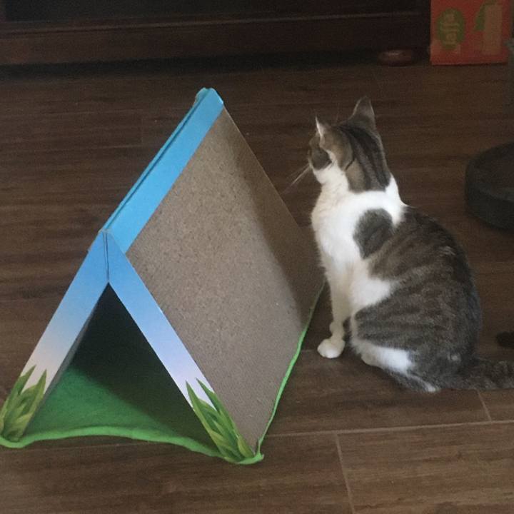 078d6c87 3739 405d 86b8 783e883c4928 1659742654619