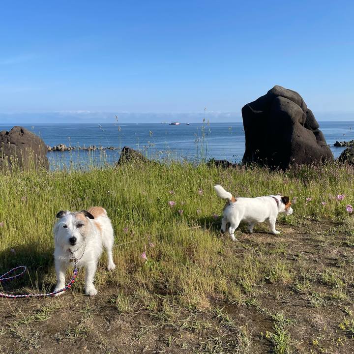 078d9dfe eeaa 45d2 9745 b4db3f1601c6 1717635235507