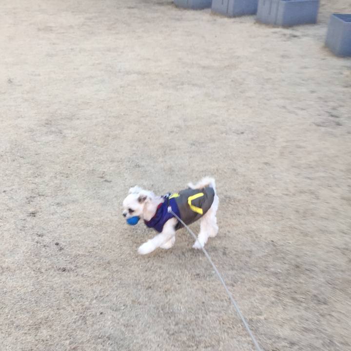 078db2d2 52bc 400b b61a fe756122ea22 1515586797195