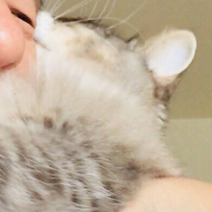 078deec7 4196 4fa9 a040 f42ff4818168 1529800306467