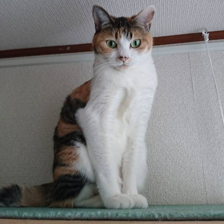 078e344d 3007 4185 a80d 7132c1262d64 1546305995418