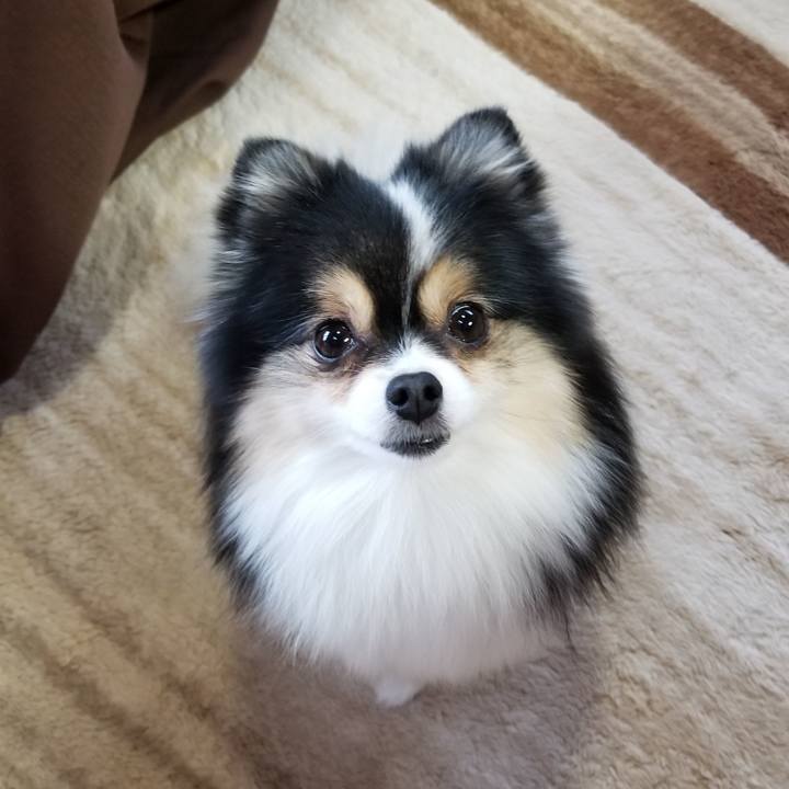 078e3a09 a5df 4e3c 8f0a 80723ad9bbde 1542582479832