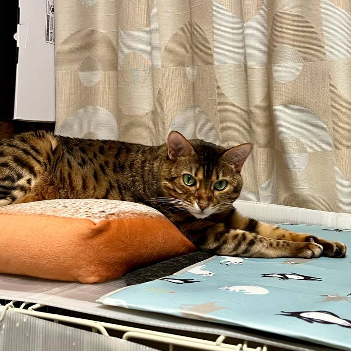 078e4bc6 8a79 4c15 837c 57687da0ddcc 1659325806697