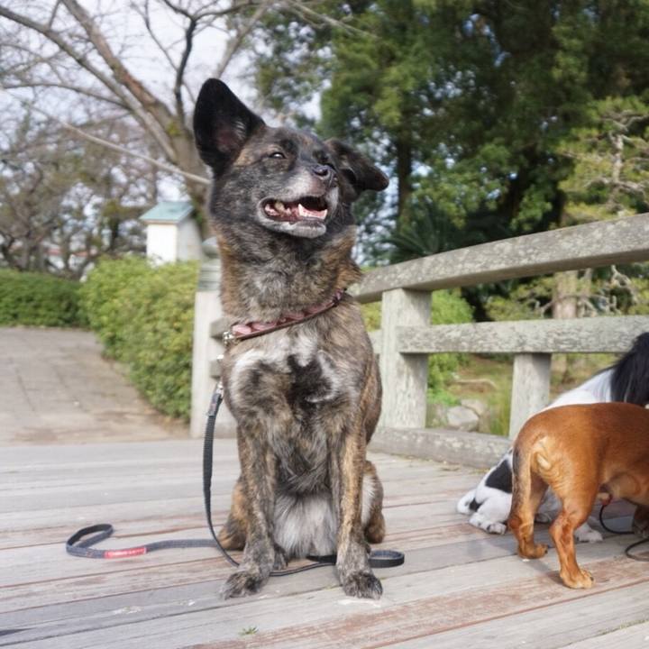 078ed188 a6a5 4cec b4ab 2dd022a12df0 1523762126517