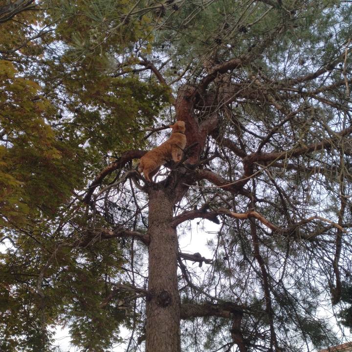 078ed92a d114 4e02 bb47 f9715e2244a1 1714358156603