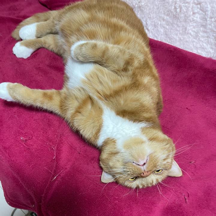 078ee6b3 95f5 4bc8 a6d6 1089f6cff8c6 1703022671054