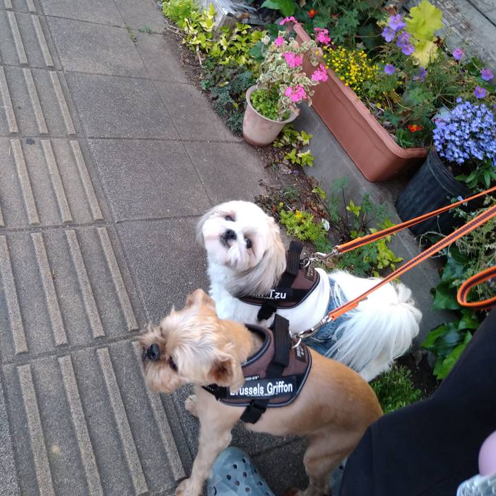 078f020f b2b4 4aa6 ad03 6b10121a7190 1621079231743