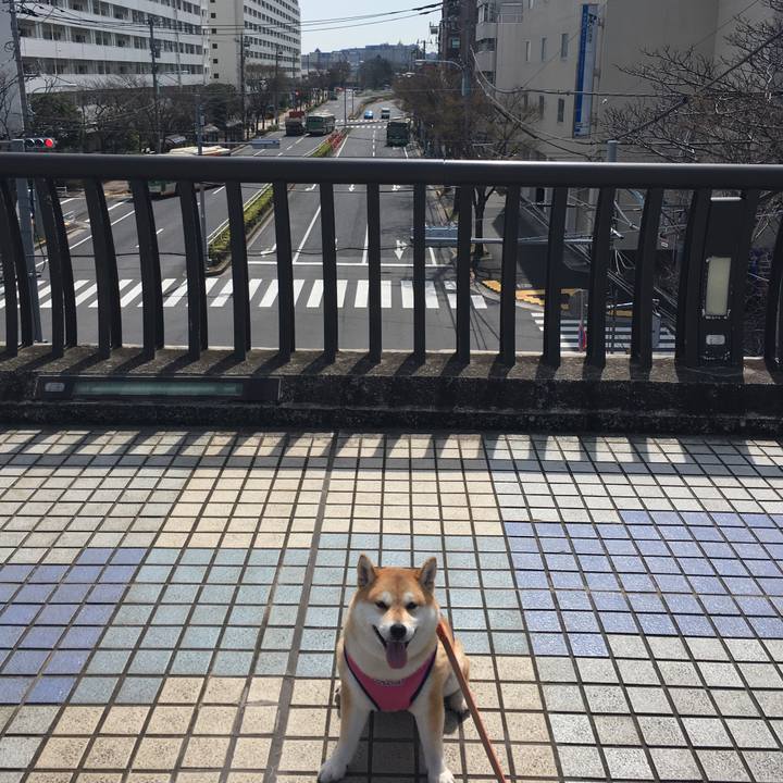 078f1f6f 09b5 43a4 817e 3b9f3718e70d 1553489496345