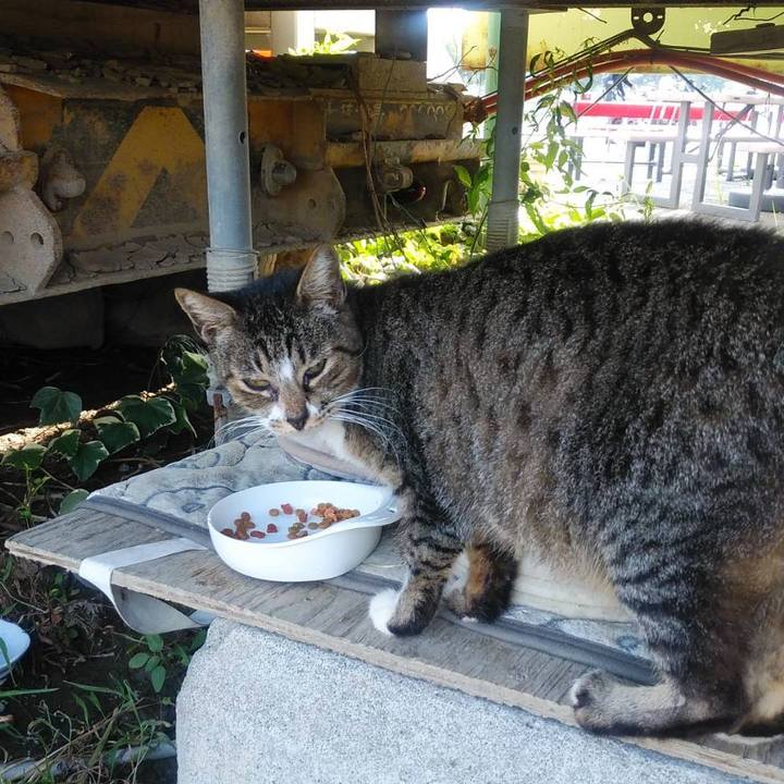 078f4806 049c 45c1 9a52 acaf11b1424e 1599785886082