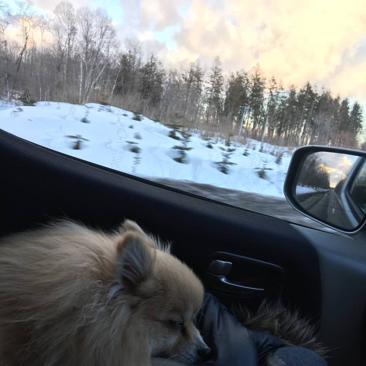 078f5a8f 01bf 4684 b454 a08bba3d7b96 1521697651556