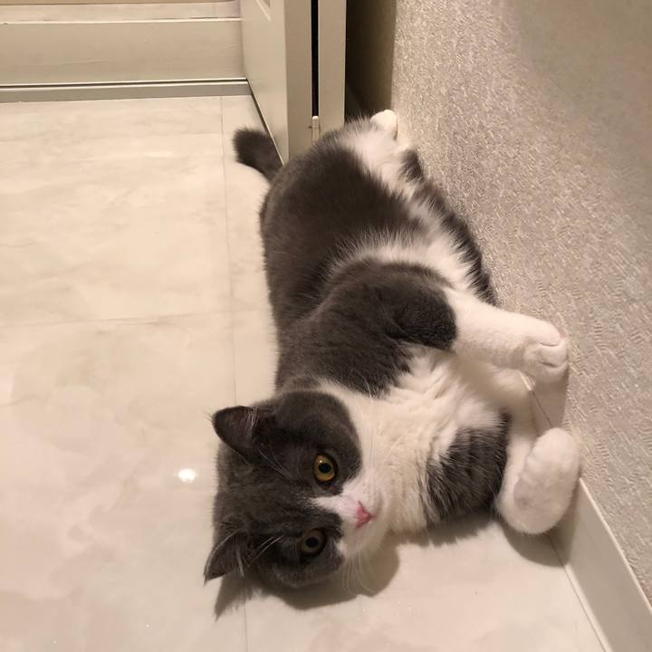 078f6d82 7489 4ebf a7ae a38ed04c14a7 1526613122946