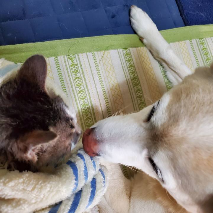 078f6f9a a6a4 4388 842c a02ff3e2c136 1674057711821