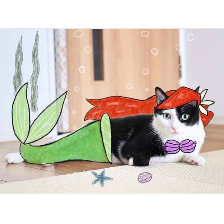 078f8e20 d1c5 4807 ad07 7be83dab03c3 1616329617127