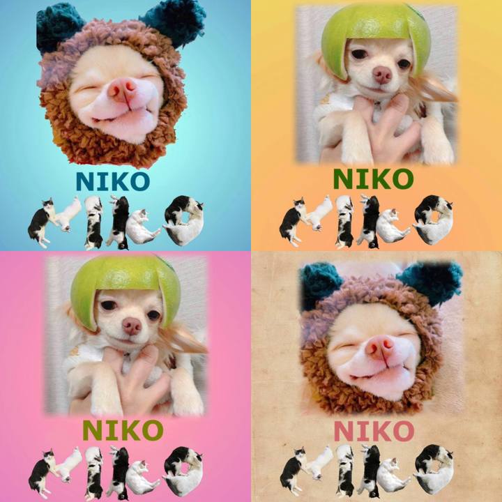 078f911e f8d7 4d8d 8774 082755fbaef4 1667978513108