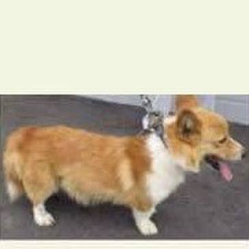 078fe4fd 4792 4040 8485 e02766b34821 1532958440069