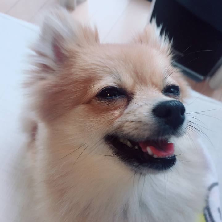 0790227c 1422 49e9 b2e0 8314185d1b36 1520756858325