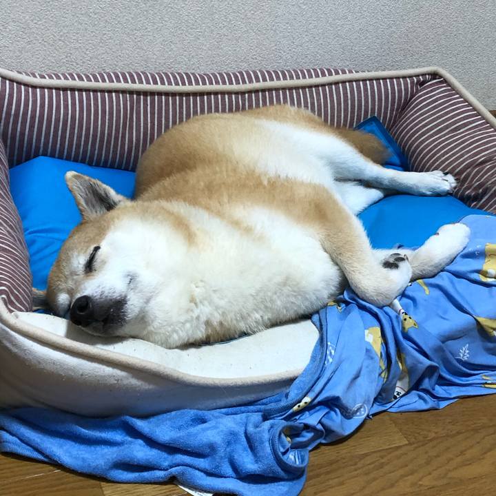 07902d52 a2b8 4846 9f6d bfc66271a76c 1594211891369