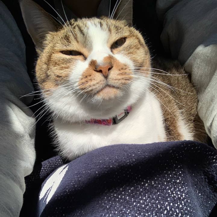 07903f27 3f09 4ea4 b693 52f8d66f26ad 1638060048086