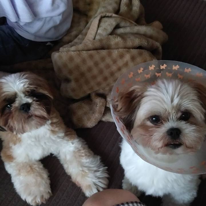 07904c63 9dfe 4d8c 8a2e 9f6dbcfcda9e 1592032768589