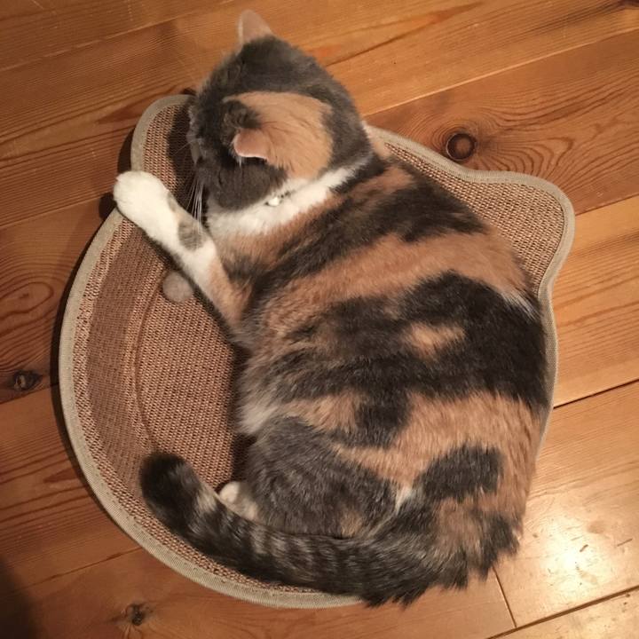 07905936 6ad4 47ba 8579 f0eb92faaf21 1562751225610