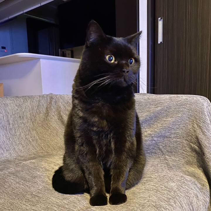 079089d5 018f 49a5 8b61 87d291c2b530 1736499986461