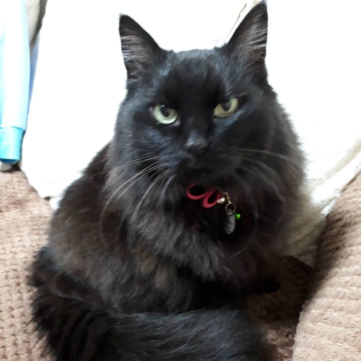 07908dbf aca7 4d41 af6c 09d500cbc8a6 1519337125937