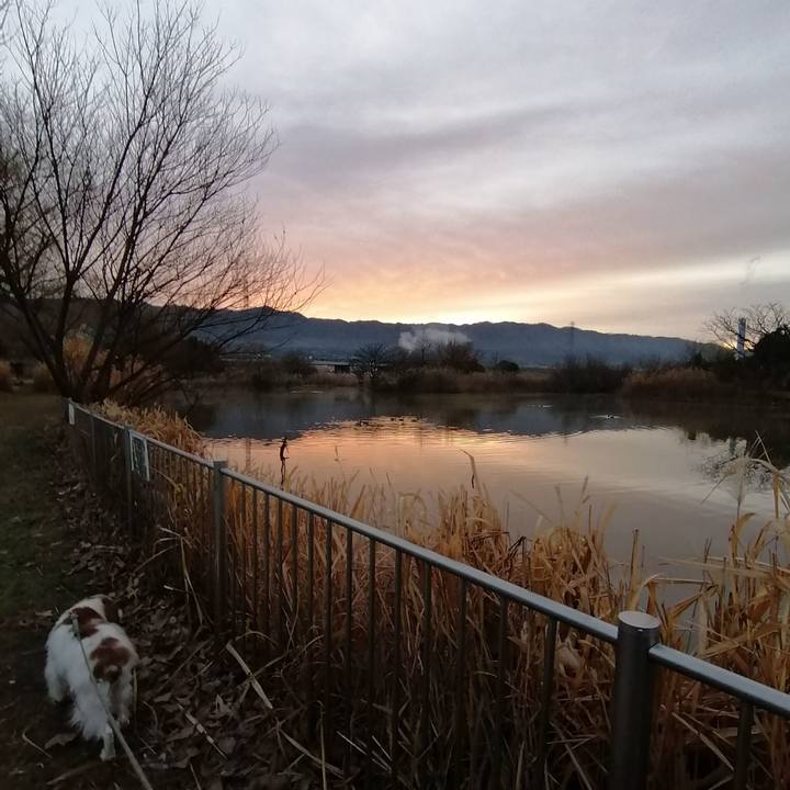 079092f4 585f 4998 b50e 48b86ed6fe23 1578700085809