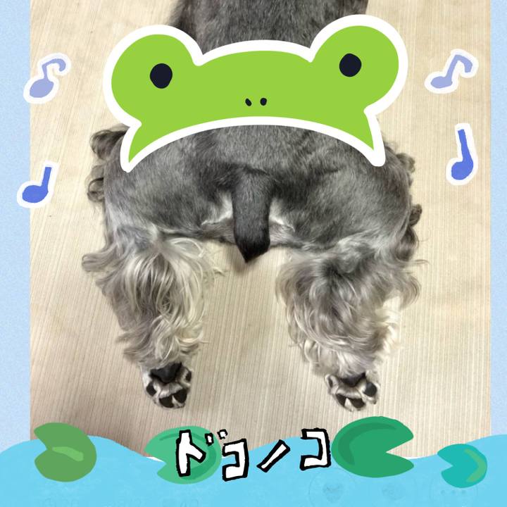 0790bb9d b2e9 4bde a044 72e73ab220f3 1717682501929