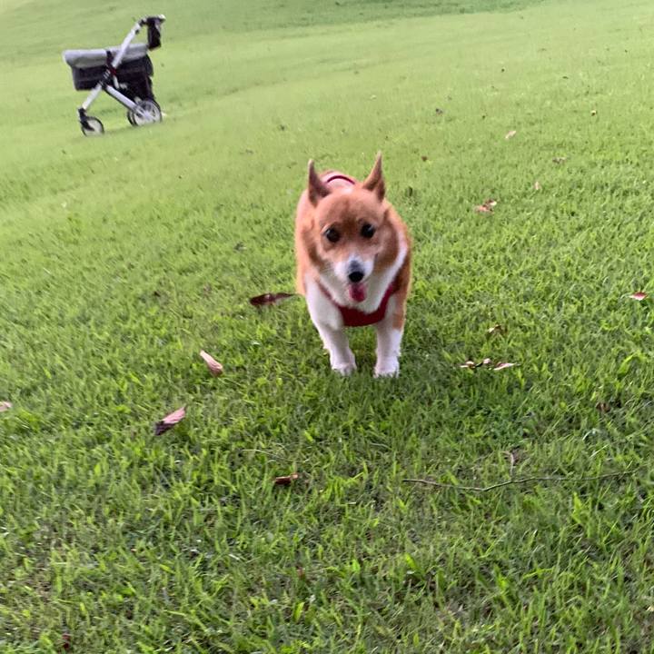 0790ebde ec5a 4704 a2fd dc0f69d7bd5b 1725532118469