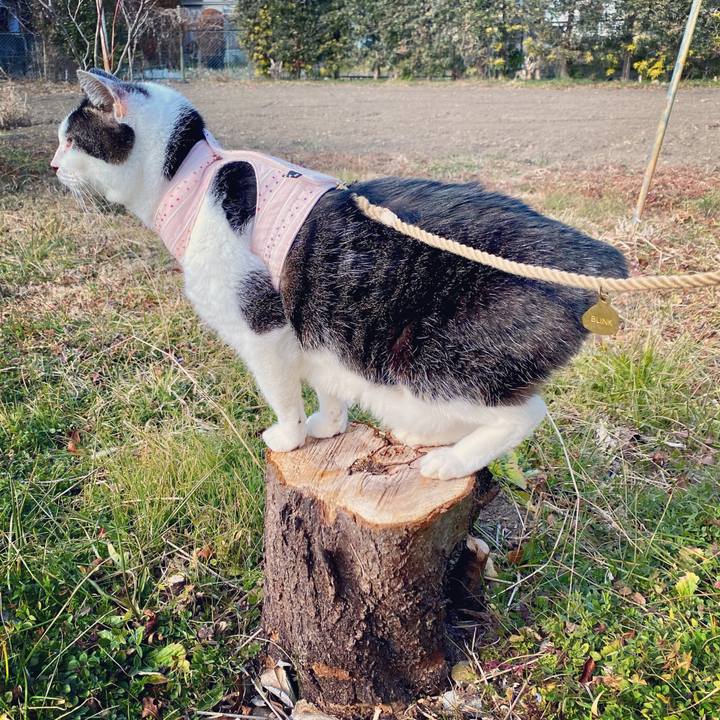 0790fa27 2bf7 4304 9d7f 4a22f789f00b 1612685493530