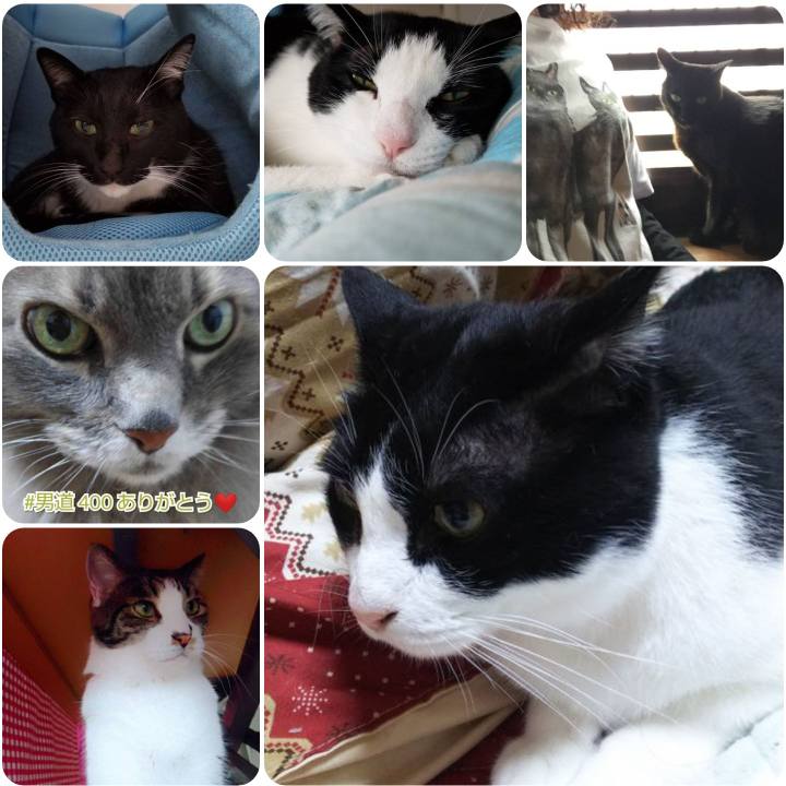 0791076d 254f 416d bf96 c8f11a21cfc6 1556182976903