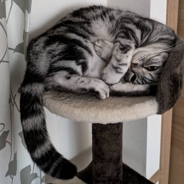 07911699 36d8 44c2 87b7 0ea3e9246b04 1733230683369