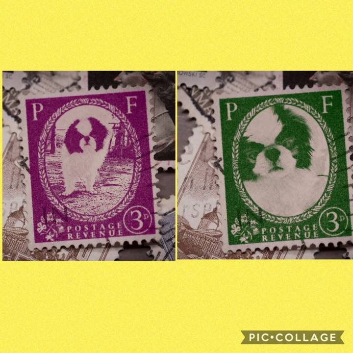 079149cb 6c4c 48cc 897f c5826ec67cbd 1569884427646