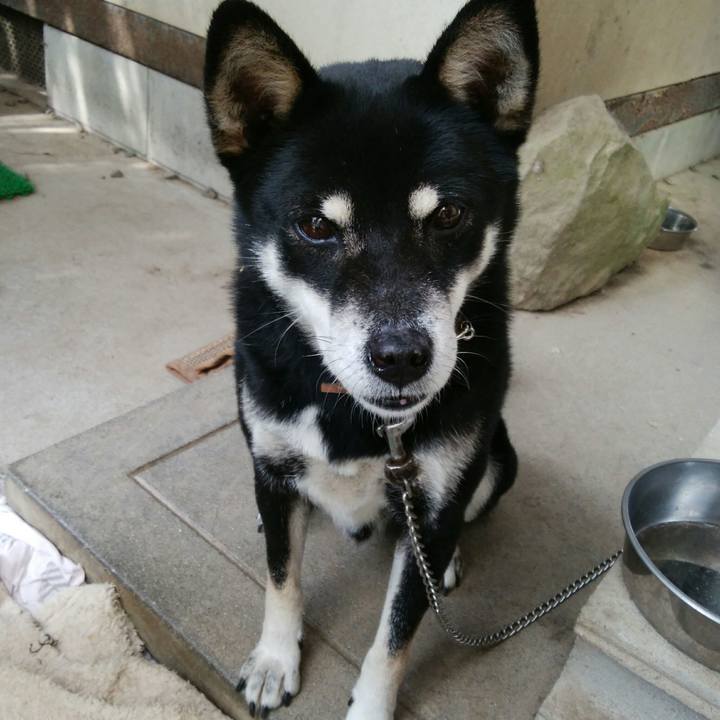 07916b46 e40e 41e8 8aeb ee10b373d286 1509675646678