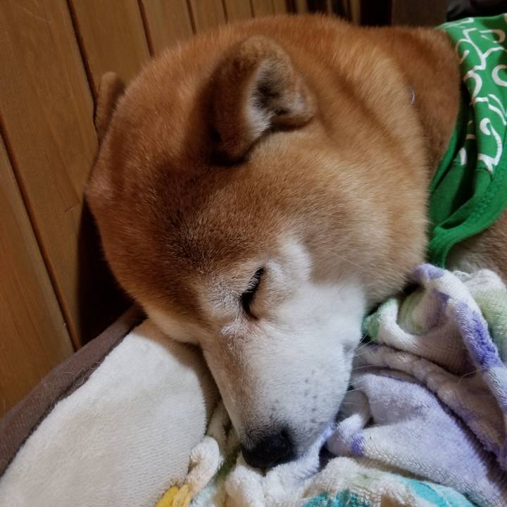 0791738d 12cc 457d ab2a da765593a6a8 1586771431785