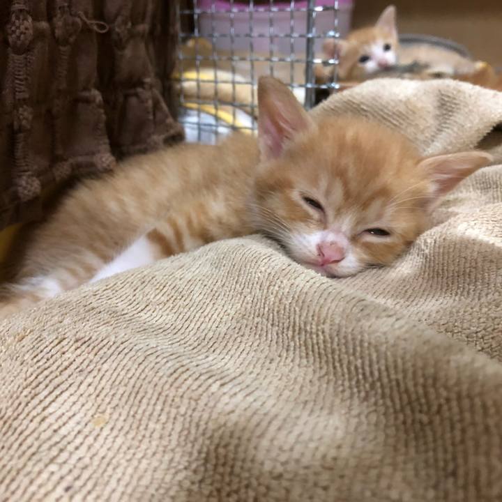 0791d5a3 231e 4b09 9ec1 abd2d2ec206d 1580909127203