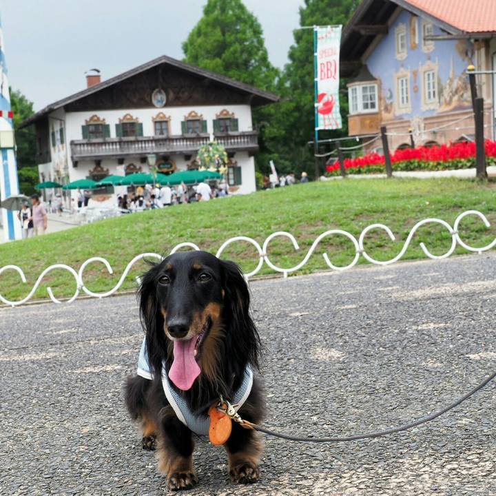 0791e178 4d13 431e 902f 3184573e4034 1561787874665