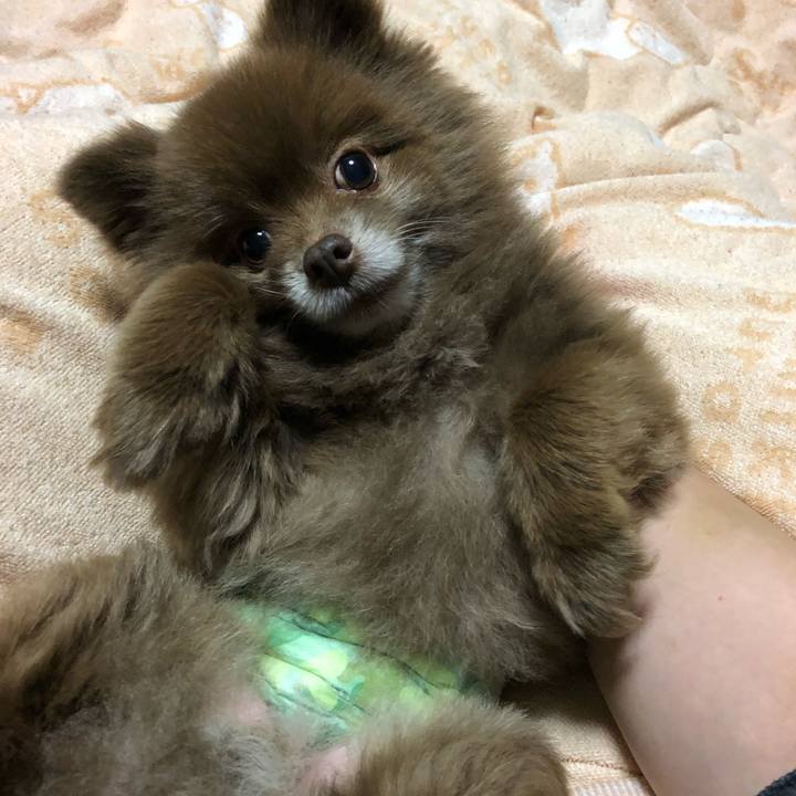 0791f015 9cfd 4cba 867c 4200b56802b2 1541296465263