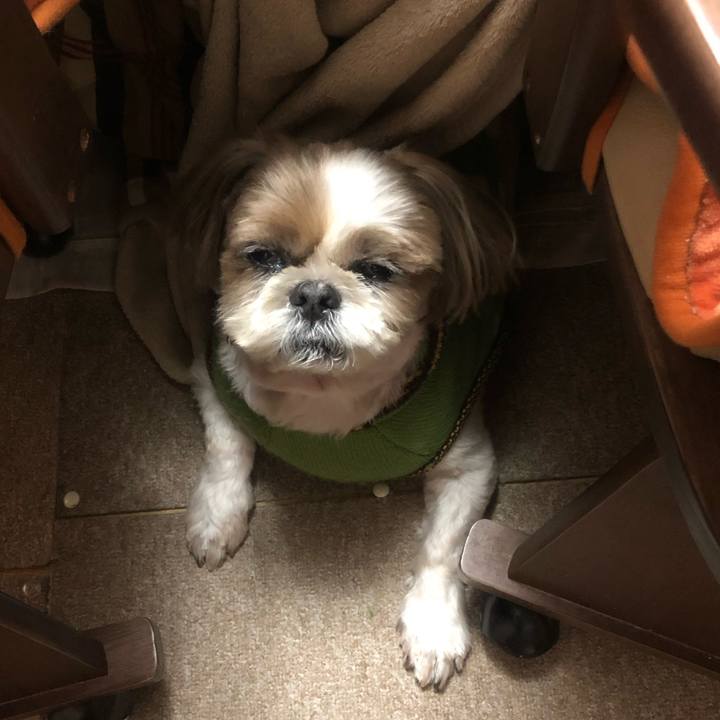 0791f4c3 e6df 4b24 a91f b5a2f2615d50 1580612439444