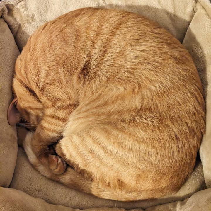 0792281e 1624 4271 a969 233906639af0 1703383101768