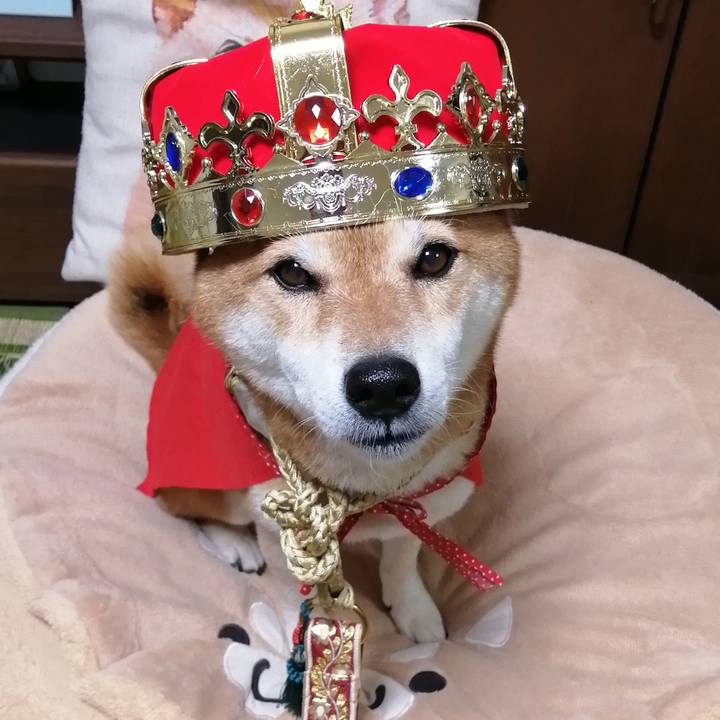 07923463 d3be 4218 9099 7e4d802b5a5a 1664962513204